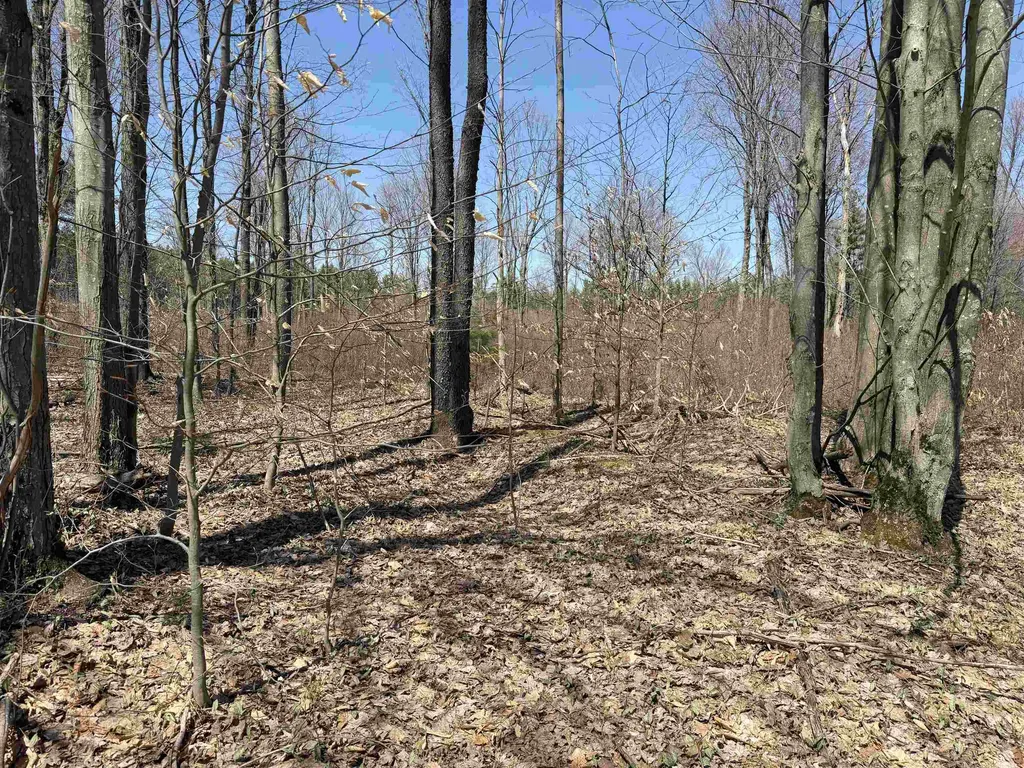 00 Landis Road Weldon Township MI 49683