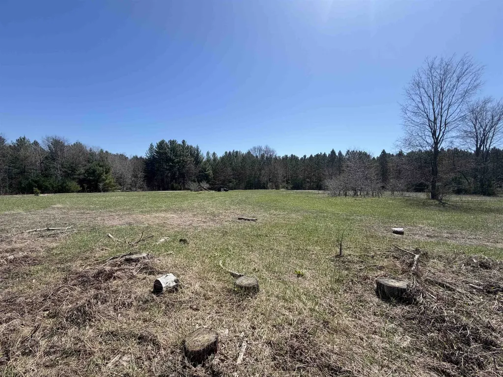 00 Landis Road Weldon Township MI 49683