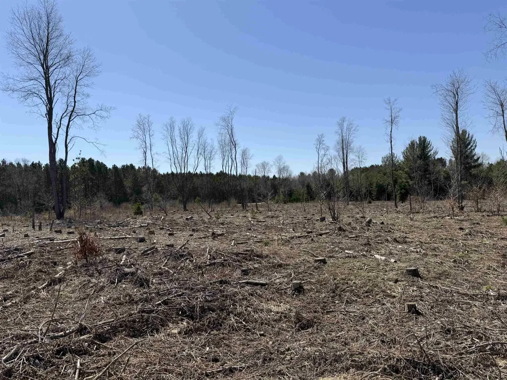 00 Landis Road Weldon Township MI 49683