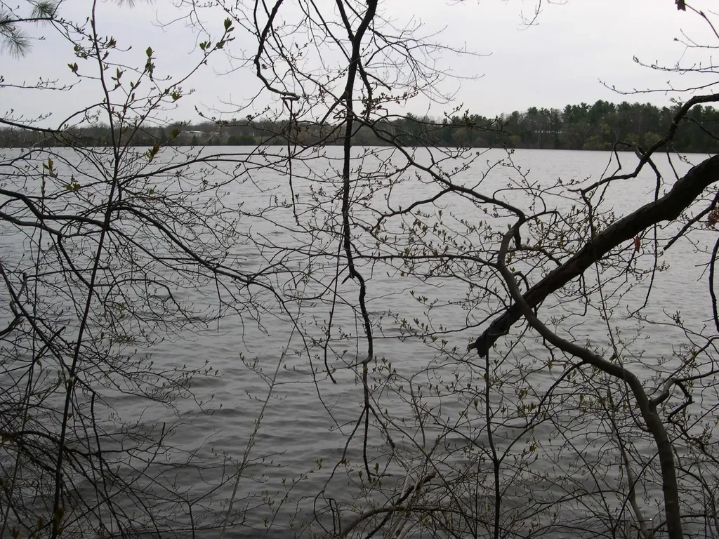1573 Edgewater Ridge Traverse City City MI 49684
