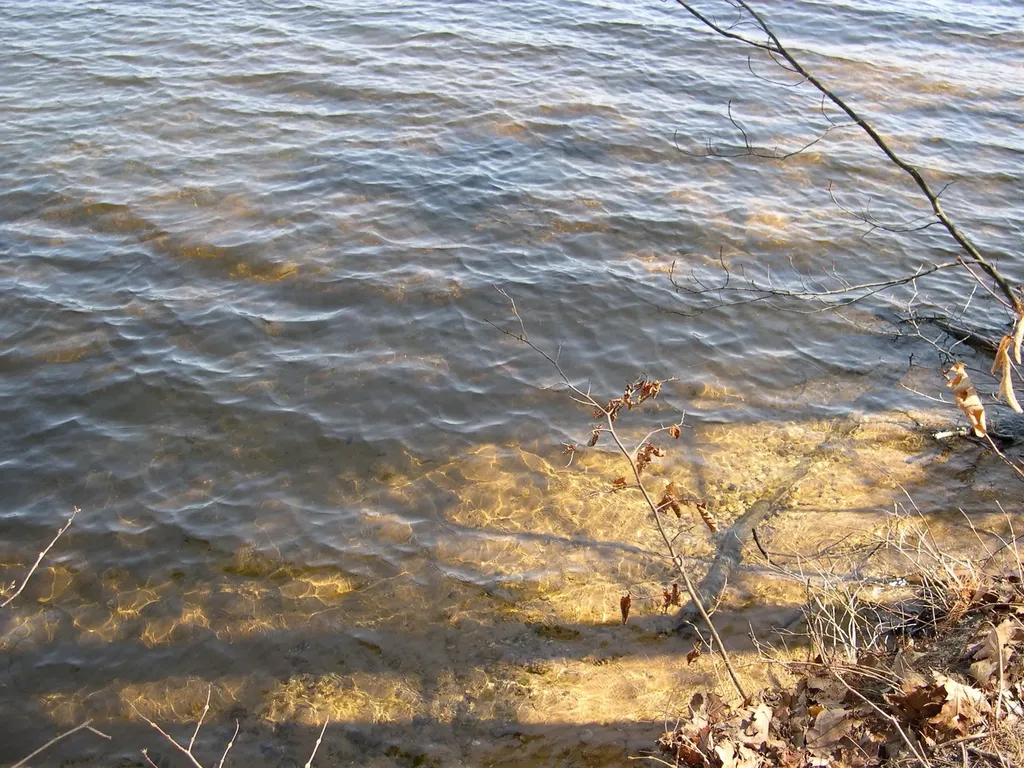 1565 Edgewater Ridge Traverse City City MI 49684