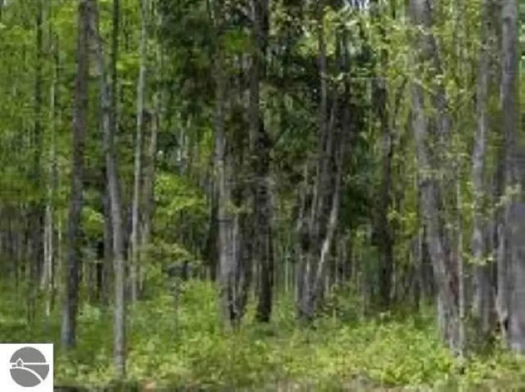 0 Cunningham Road Coldsprings Township MI 49646