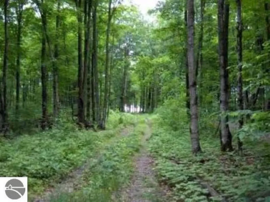 0 Cunningham Road Coldsprings Township MI 49646