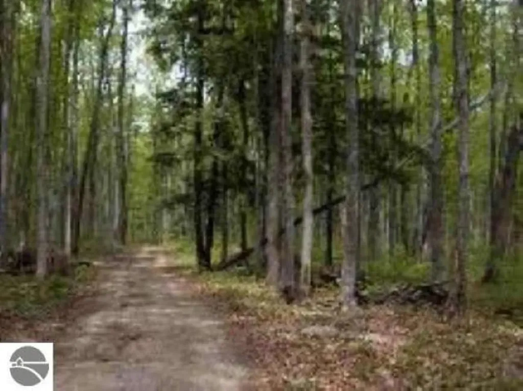 0 Cunningham Road Coldsprings Township MI 49646