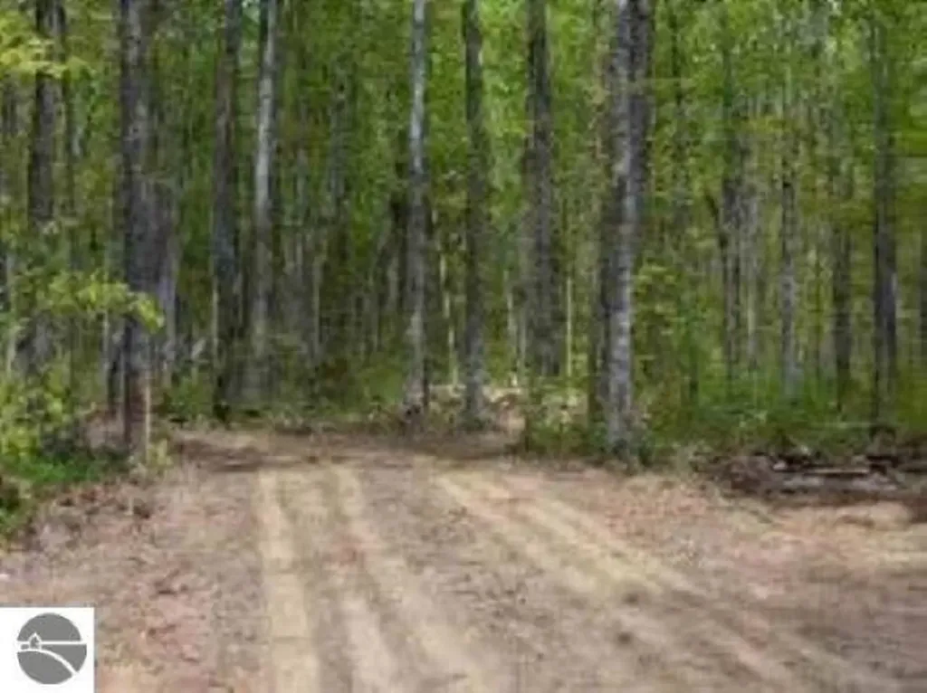 0 Cunningham Road Coldsprings Township MI 49646