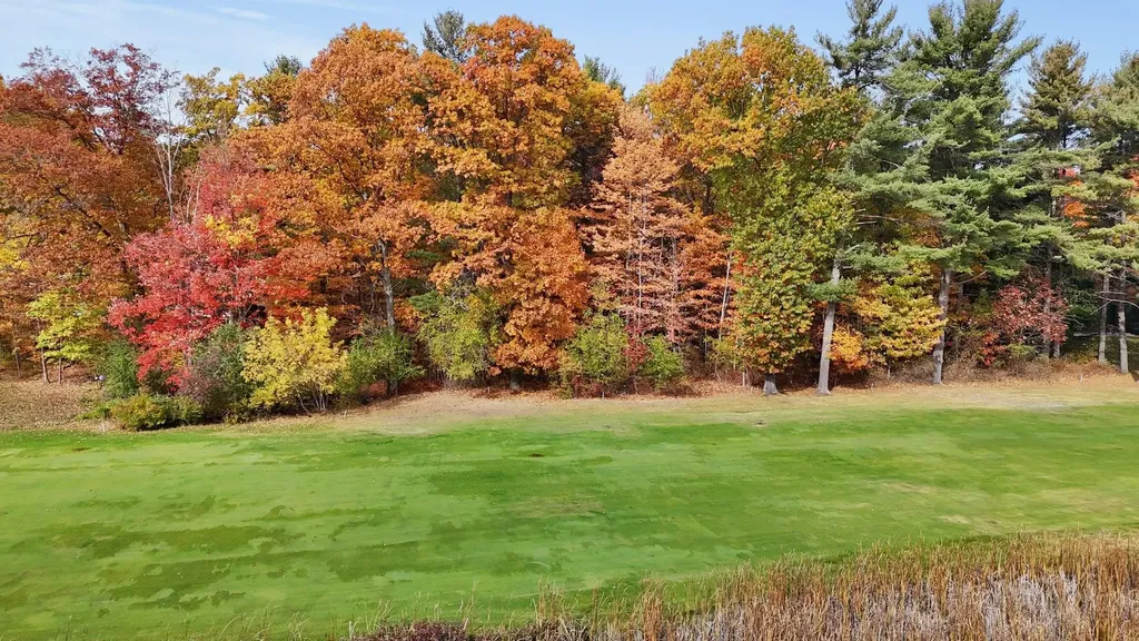 Lot 11 N Country Club Leland Township MI 49654