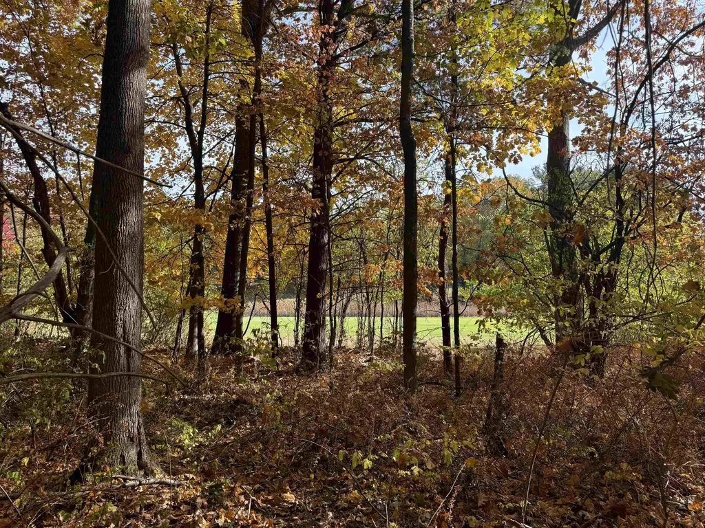 Lot 11 N Country Club Leland Township MI 49654