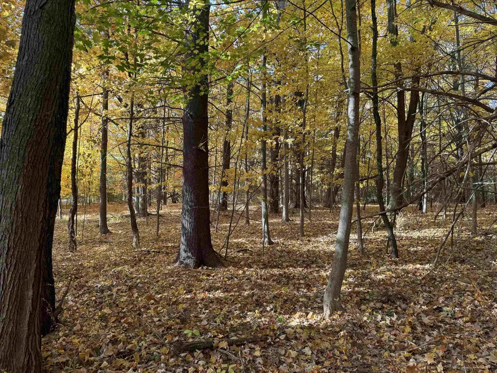 Lot 11 N Country Club Leland Township MI 49654