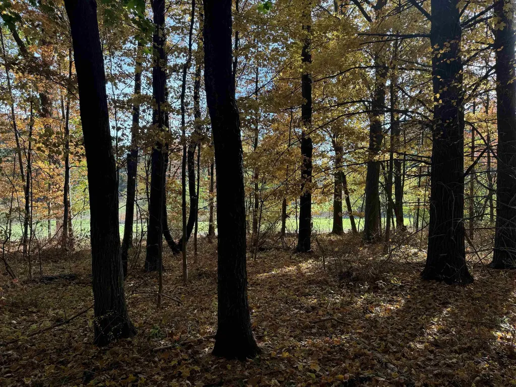 Lot 11 N Country Club Leland Township MI 49654