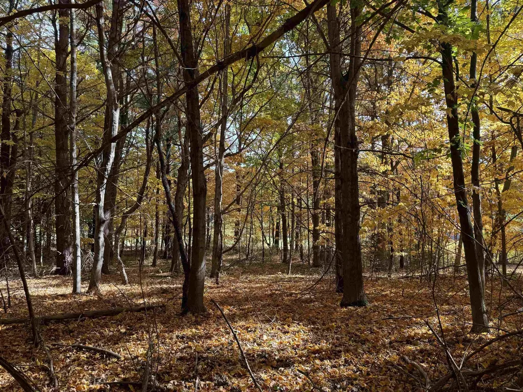 Lot 11 N Country Club Leland Township MI 49654