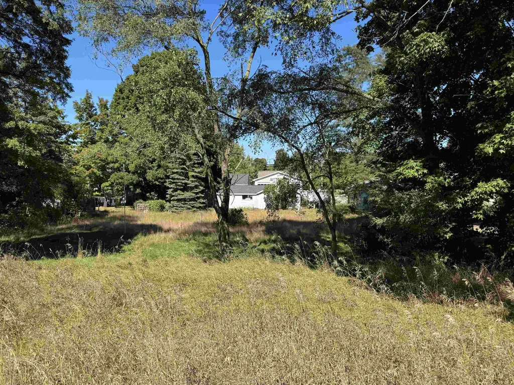 V/l W Main Street Leland Township MI 49653