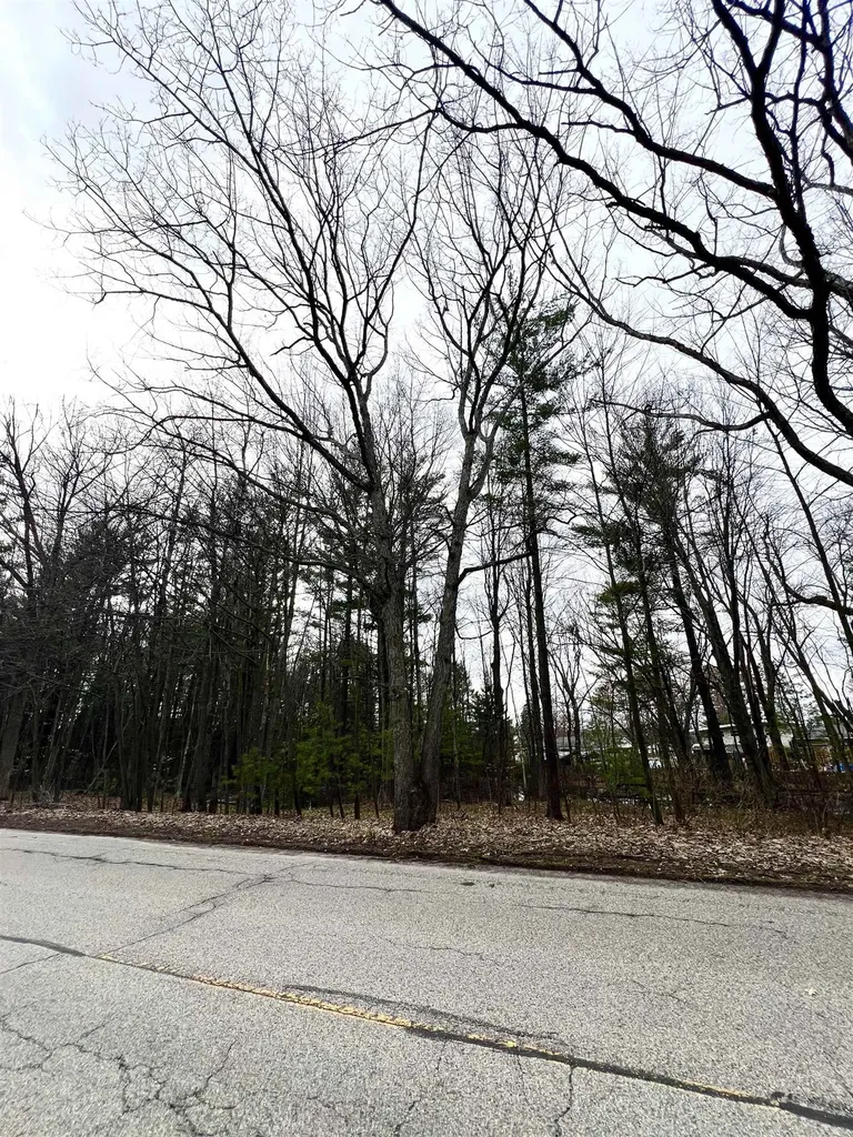 00 North Boulevard Cadillac City MI 49601