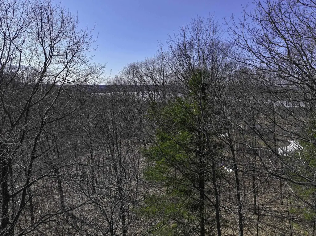 0000 S Bay Bluffs Drive Cleveland Township MI 49621
