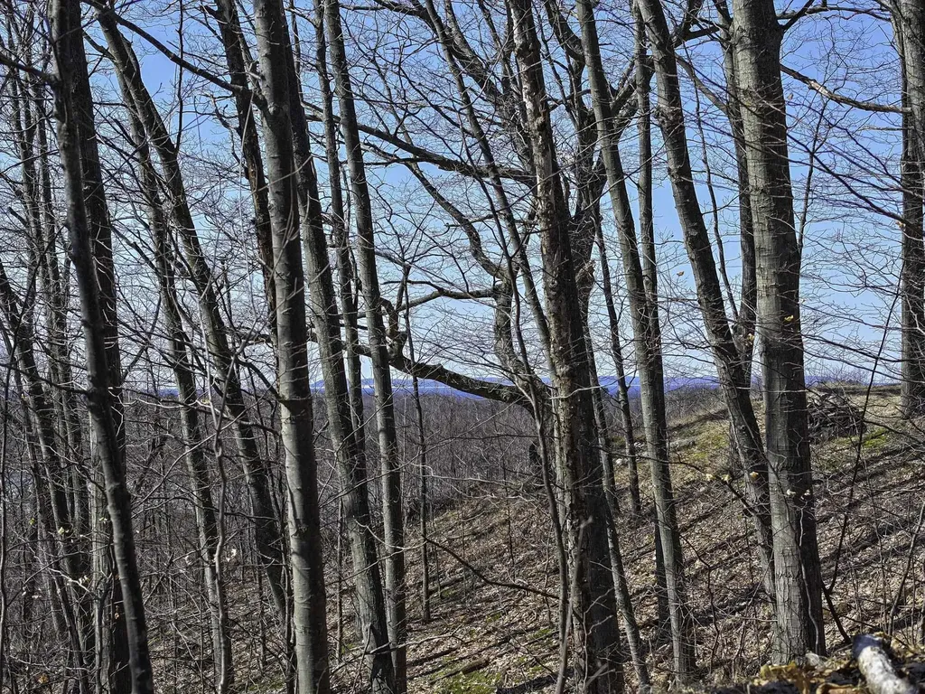 0000 S Bay Bluffs Drive Cleveland Township MI 49621