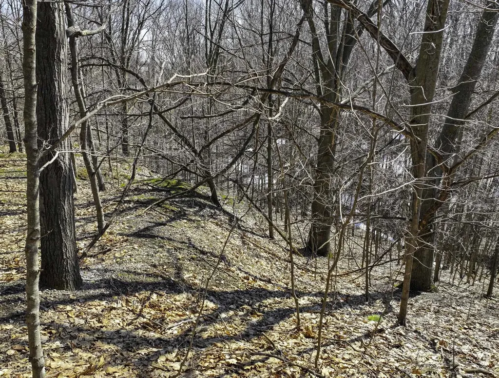 0000 S Bay Bluffs Drive Cleveland Township MI 49621