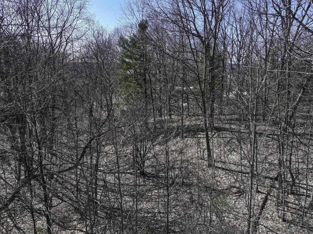 0000 S Bay Bluffs Drive Cleveland Township MI 49621
