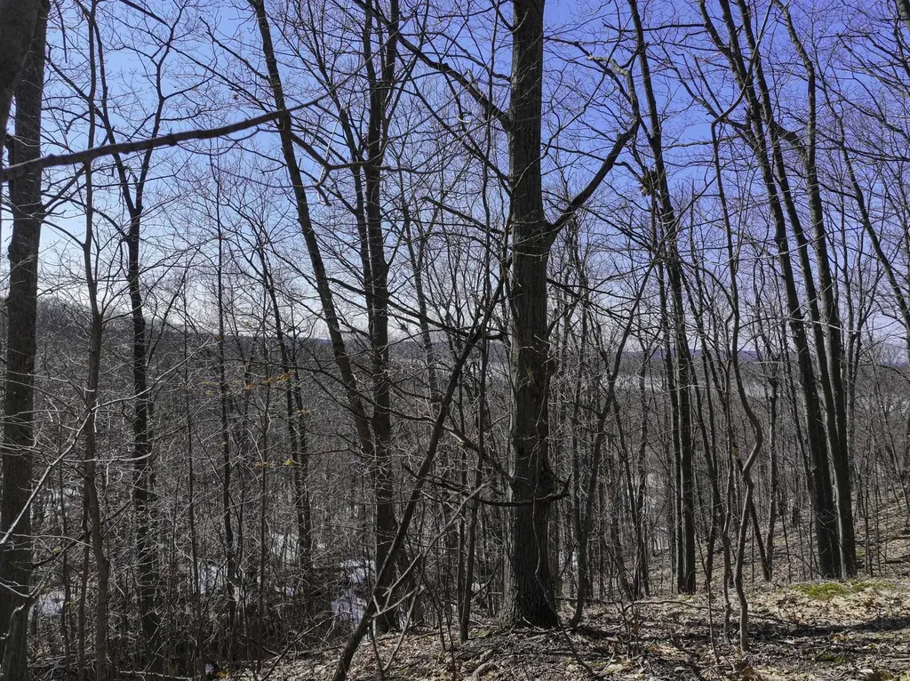 0000 S Bay Bluffs Drive Cleveland Township MI 49621