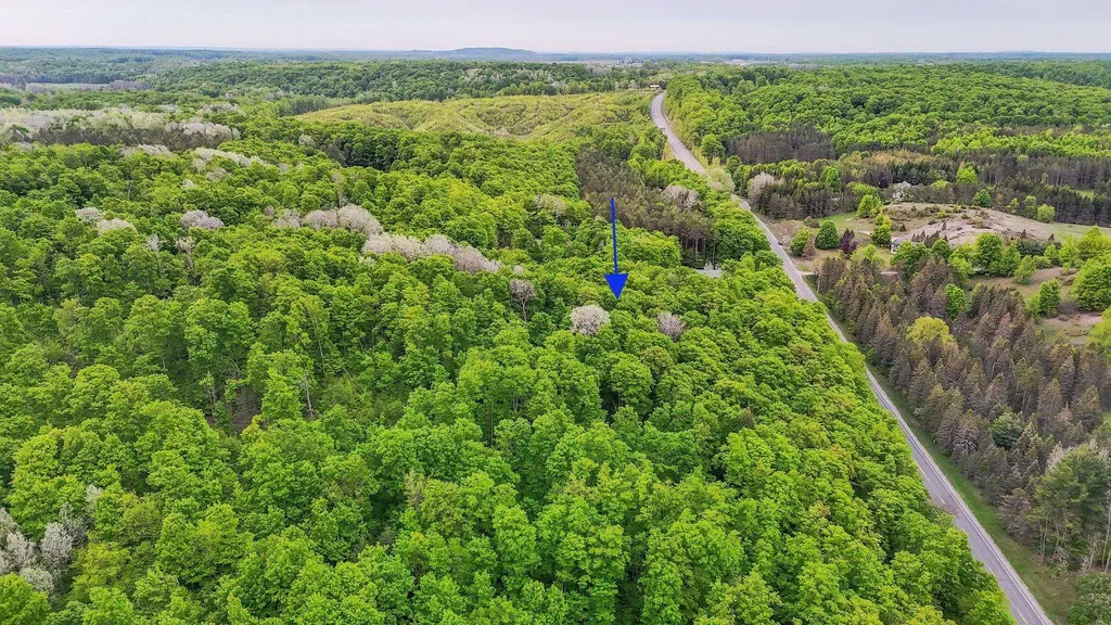 V/l S Coleman Road Kasson Township MI 49664