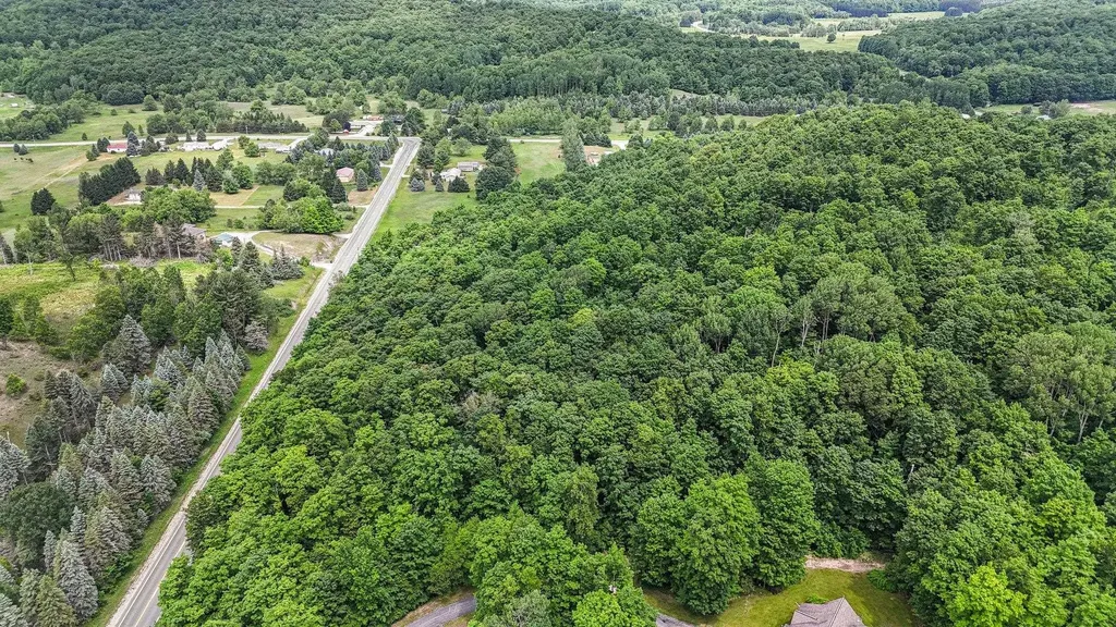 V/l S Coleman Road Kasson Township MI 49664