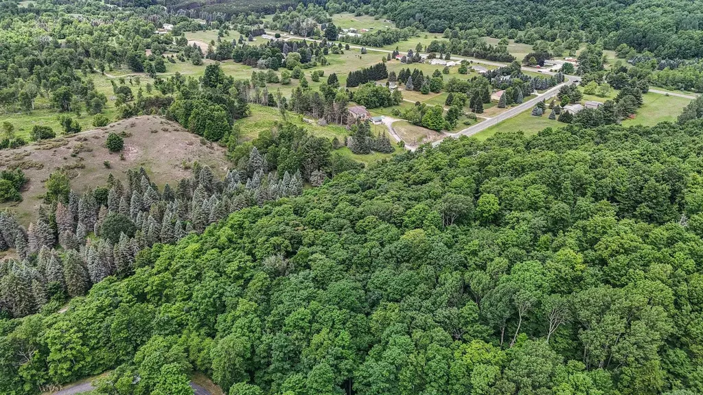 V/l S Coleman Road Kasson Township MI 49664