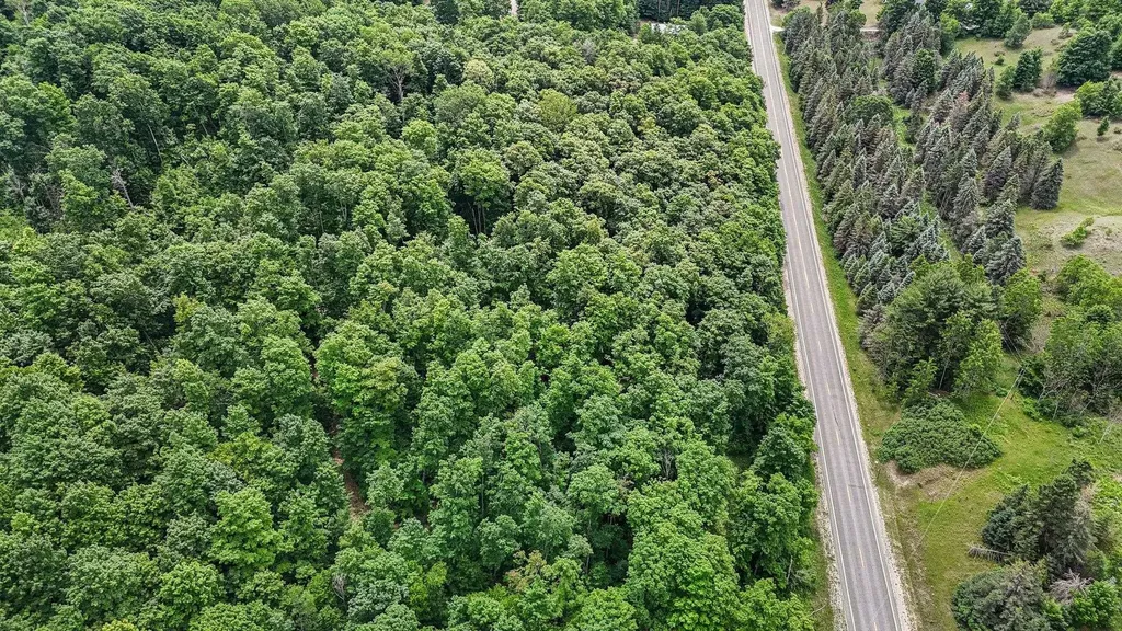 V/l S Coleman Road Kasson Township MI 49664