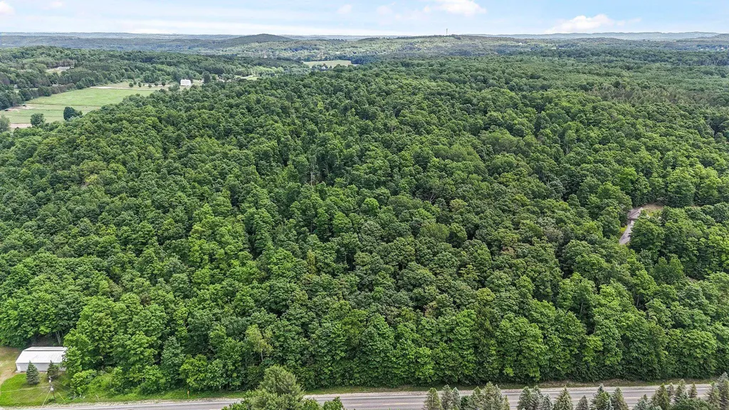 V/l S Coleman Road Kasson Township MI 49664