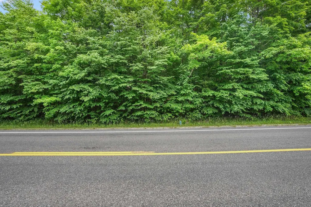 V/l S Coleman Road Kasson Township MI 49664