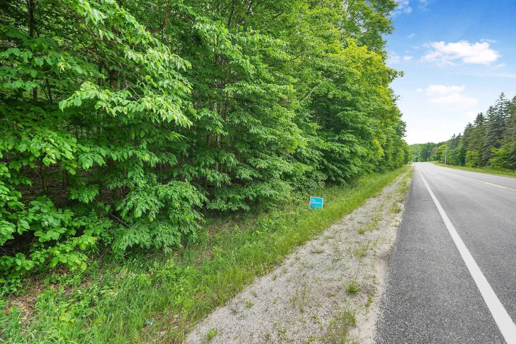 V/l S Coleman Road Kasson Township MI 49664