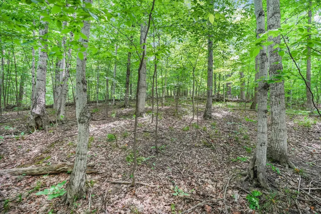 V/l S Coleman Road Kasson Township MI 49664