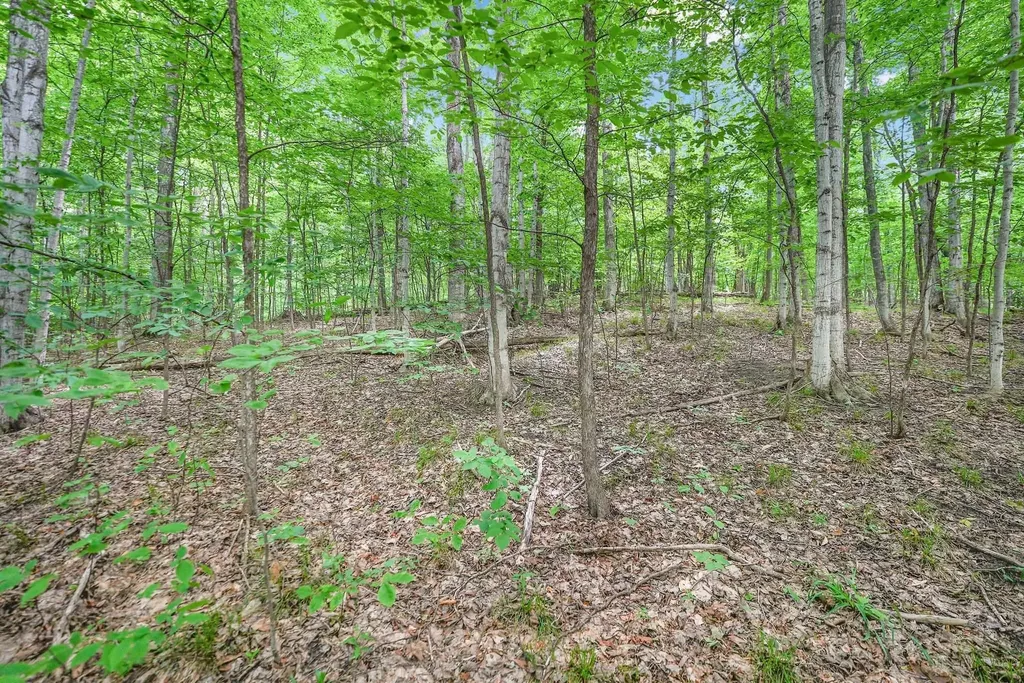 V/l S Coleman Road Kasson Township MI 49664