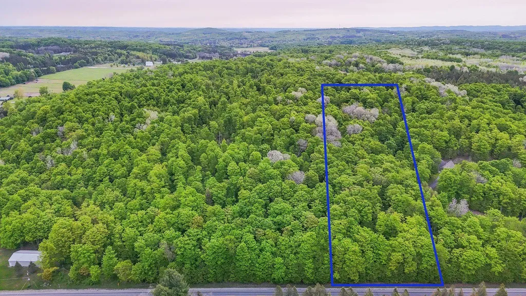 V/l S Coleman Road Kasson Township MI 49664