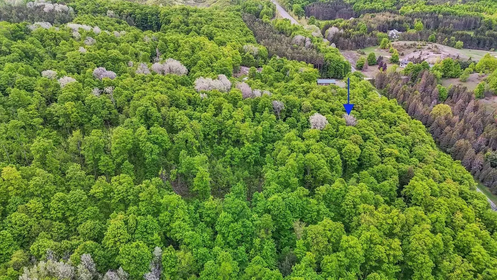 V/l S Coleman Road Kasson Township MI 49664