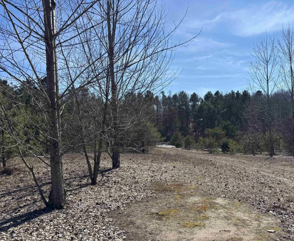 000 Case Road Benzonia Township MI 46917