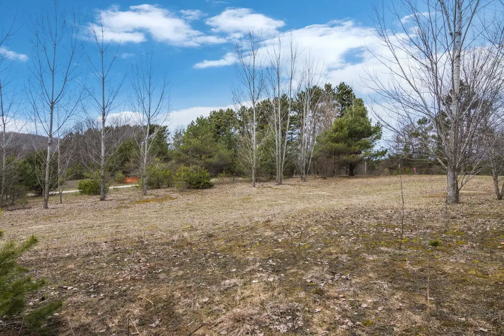 000 Case Road Benzonia Township MI 46917