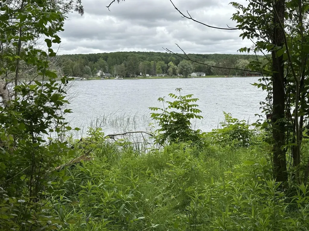 4944 Benway Lane Central Lake Township MI 49622