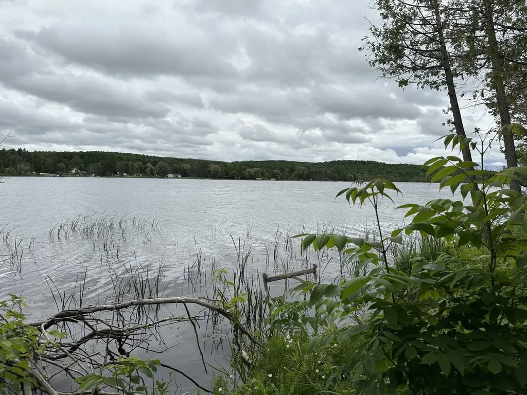 4944 Benway Lane Central Lake Township MI 49622