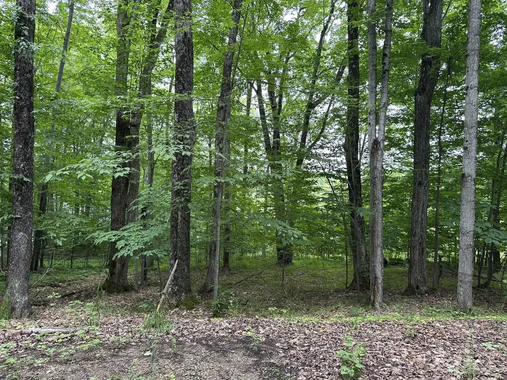 4944 Benway Lane Central Lake Township MI 49622