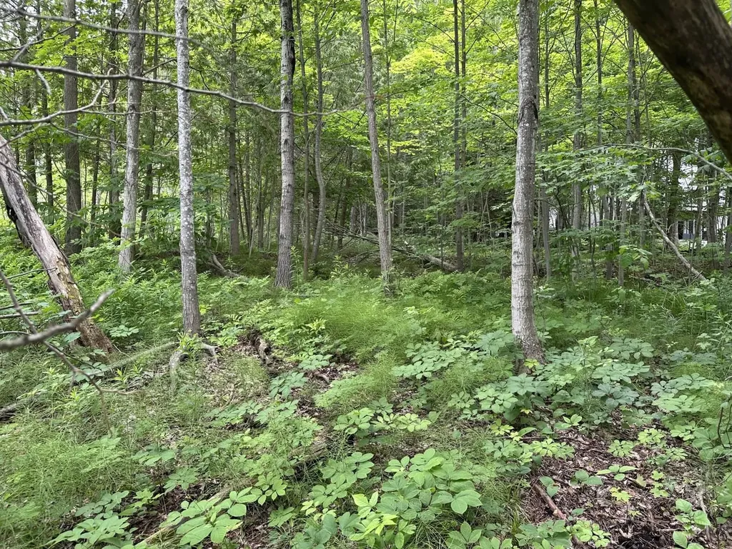 4944 Benway Lane Central Lake Township MI 49622