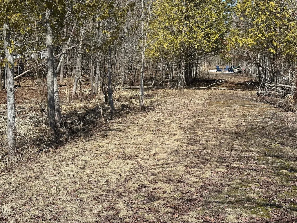 4944 Benway Lane Central Lake Township MI 49622