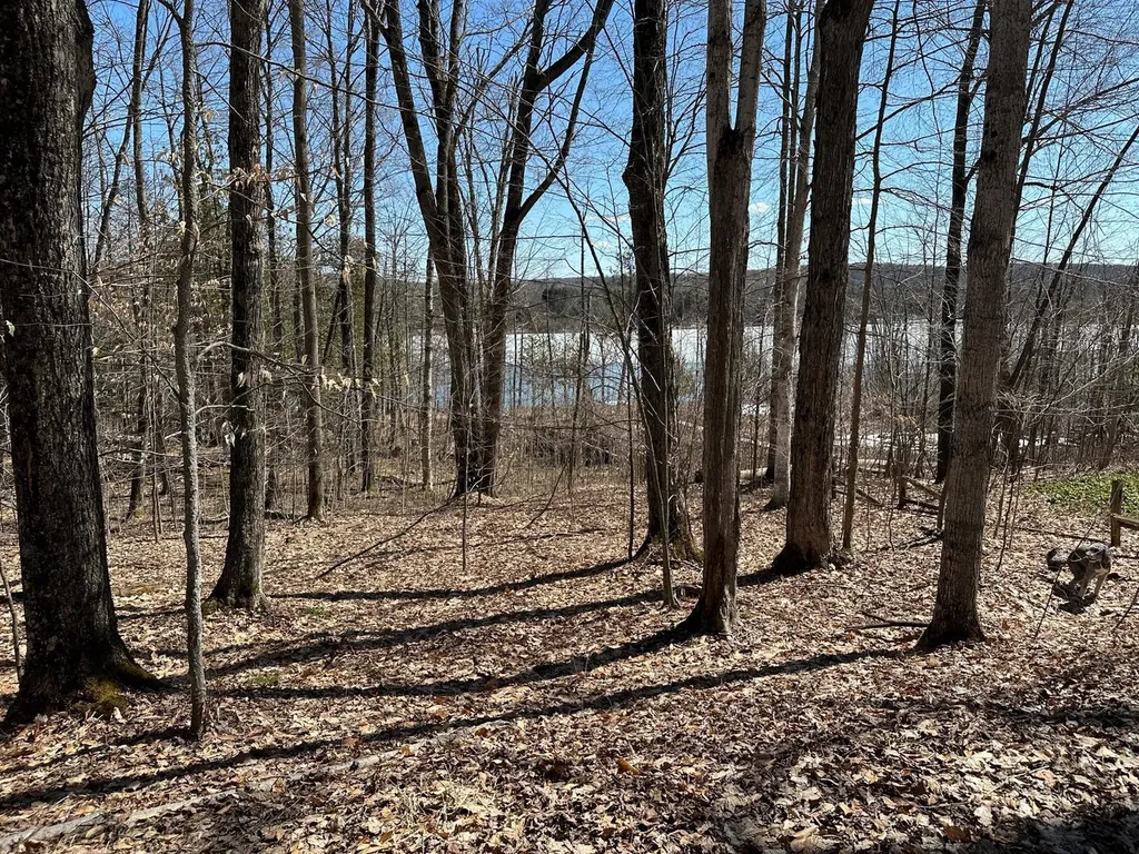 4944 Benway Lane Central Lake Township MI 49622