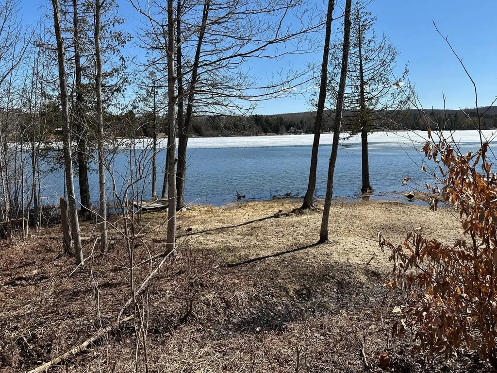4944 Benway Lane Central Lake Township MI 49622