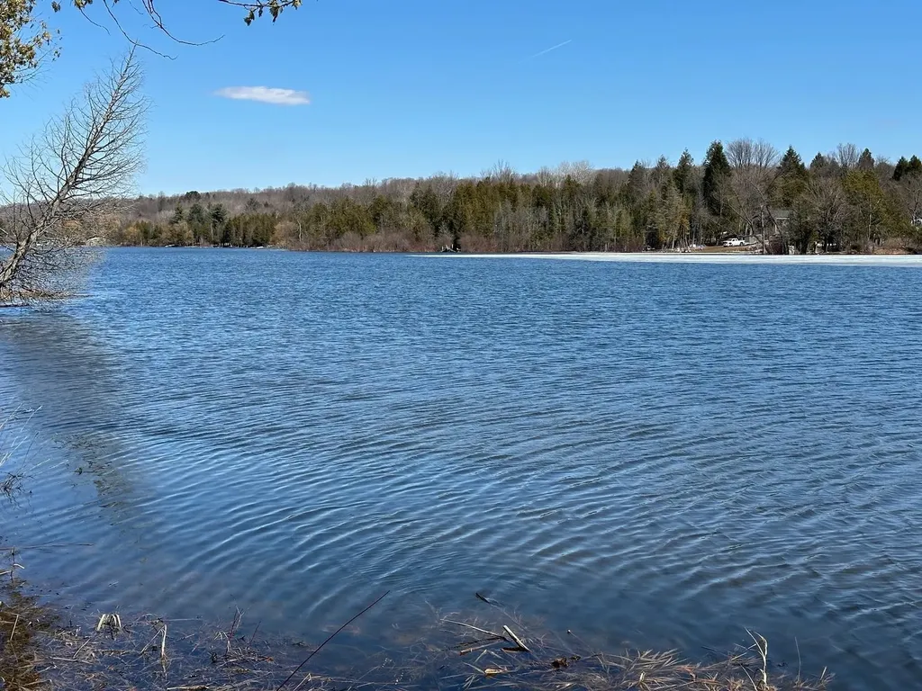 4944 Benway Lane Central Lake Township MI 49622