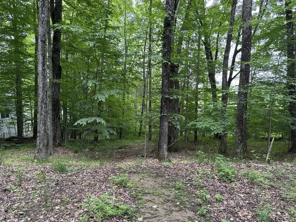4944 Benway Lane Central Lake Township MI 49622