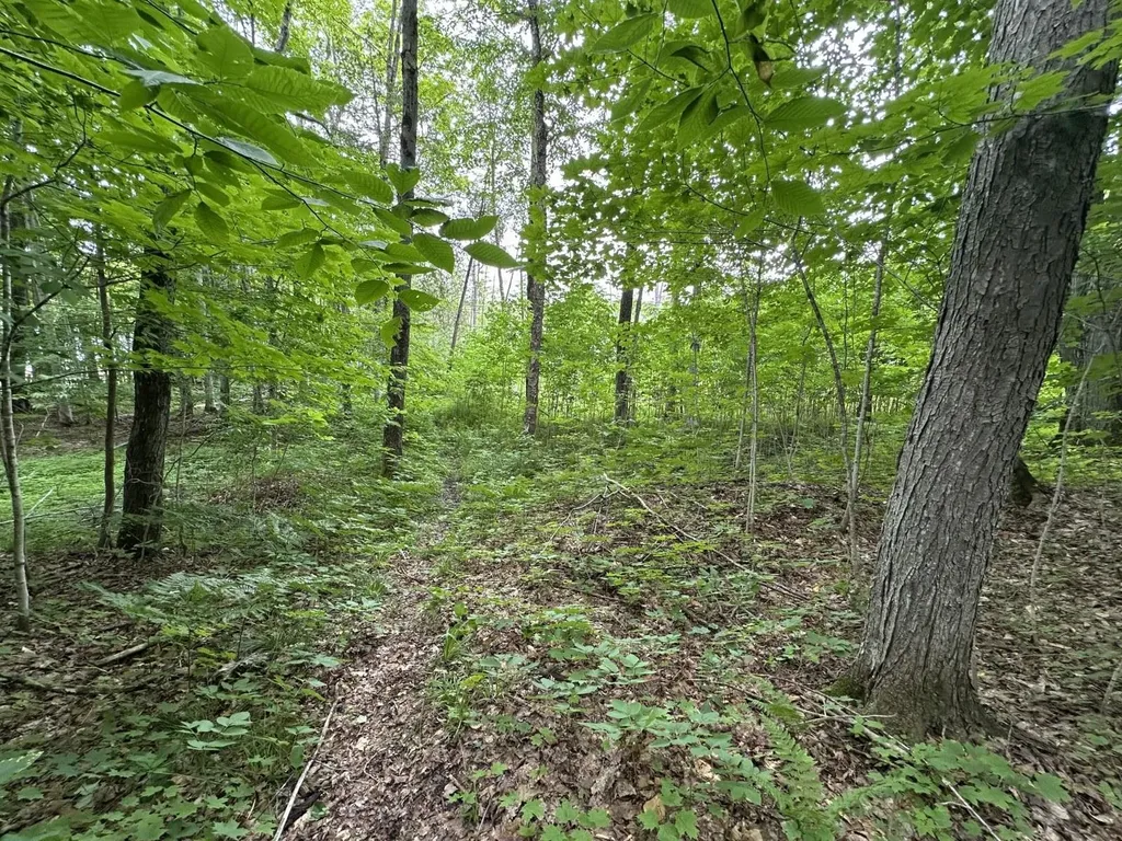 4944 Benway Lane Central Lake Township MI 49622