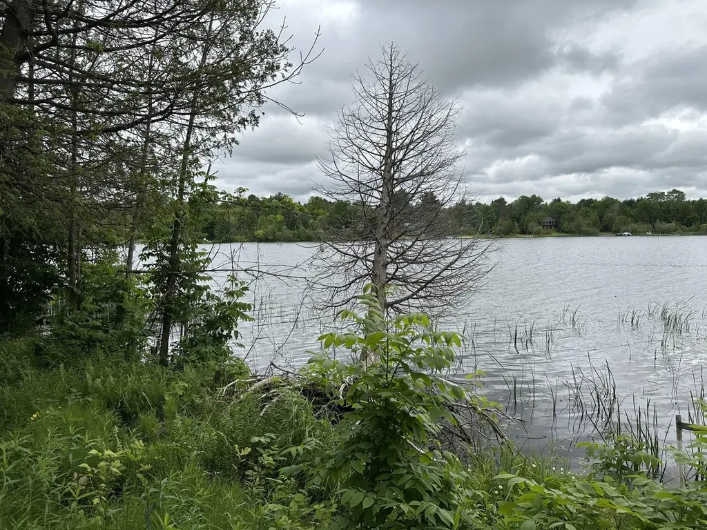 4944 Benway Lane Central Lake Township MI 49622