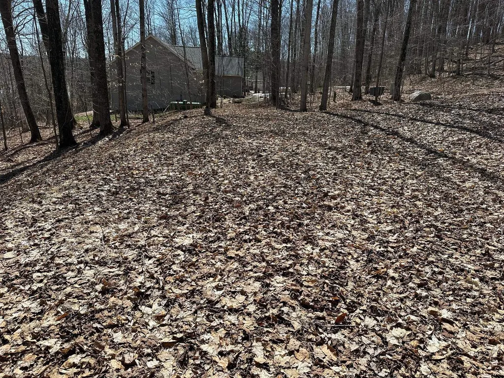 4944 Benway Lane Central Lake Township MI 49622