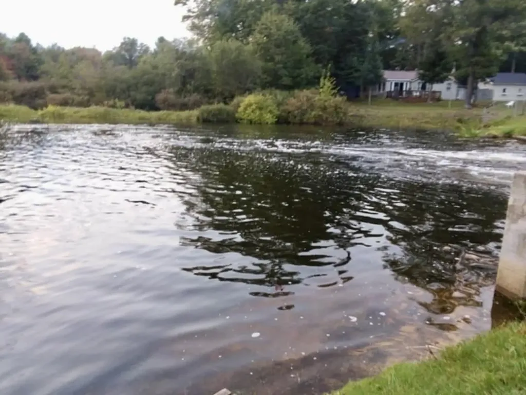 7418 Riverside Drive Richfield Township MI 48656