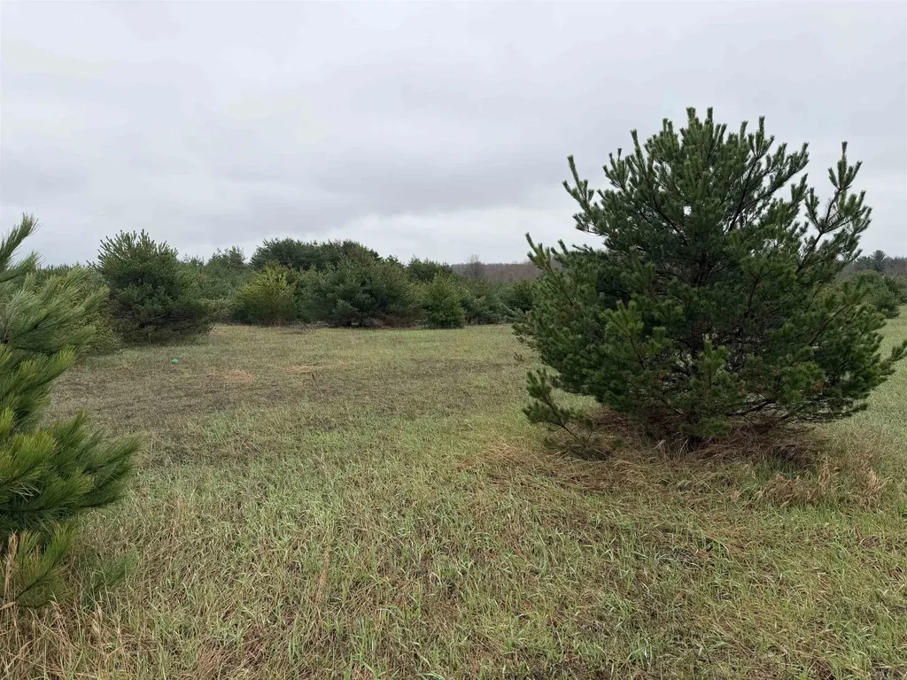 Lot P E Sparling Road Paradise Township MI 49649