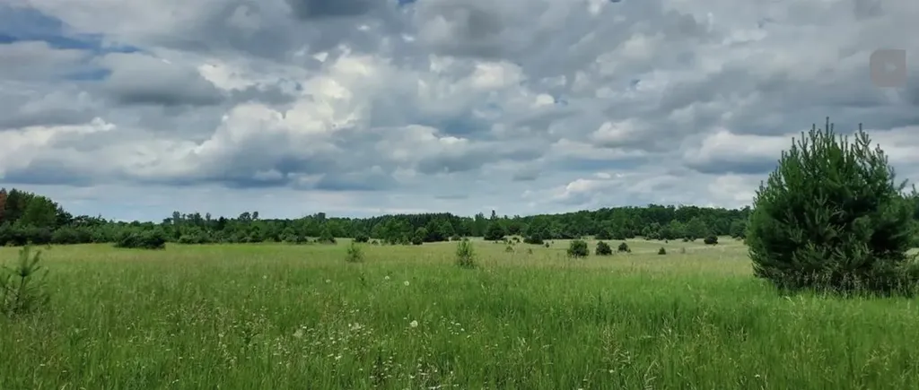 Lot A E Sparling Road Paradise Township MI 49649
