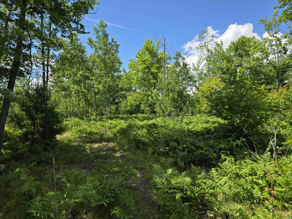 80 Vl Mackinaw Trail Haring Charter Township MI 49601